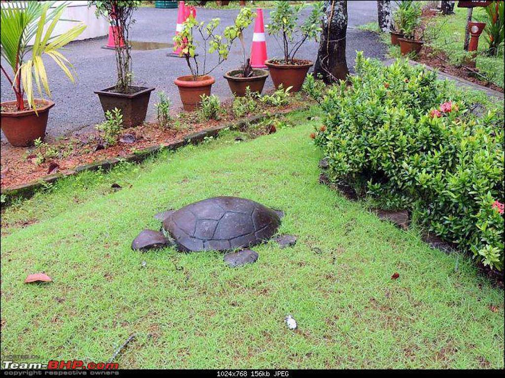 Abad Turtle Beach Mararikulam Extérieur photo