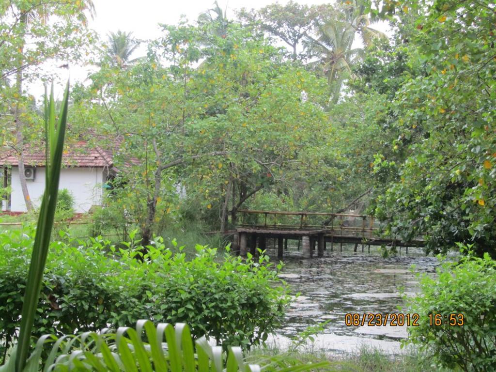 Abad Turtle Beach Mararikulam Extérieur photo