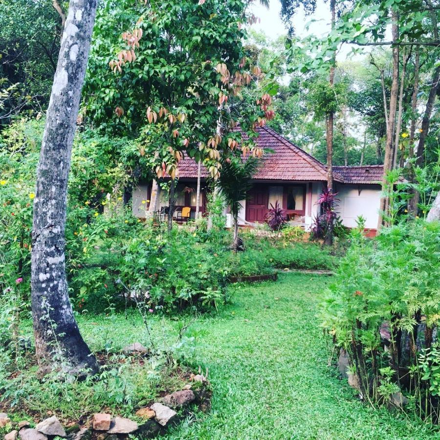 Abad Turtle Beach Mararikulam Extérieur photo